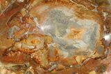 Colorful Polished Petrified Wood Dish - Madagascar #169132-2